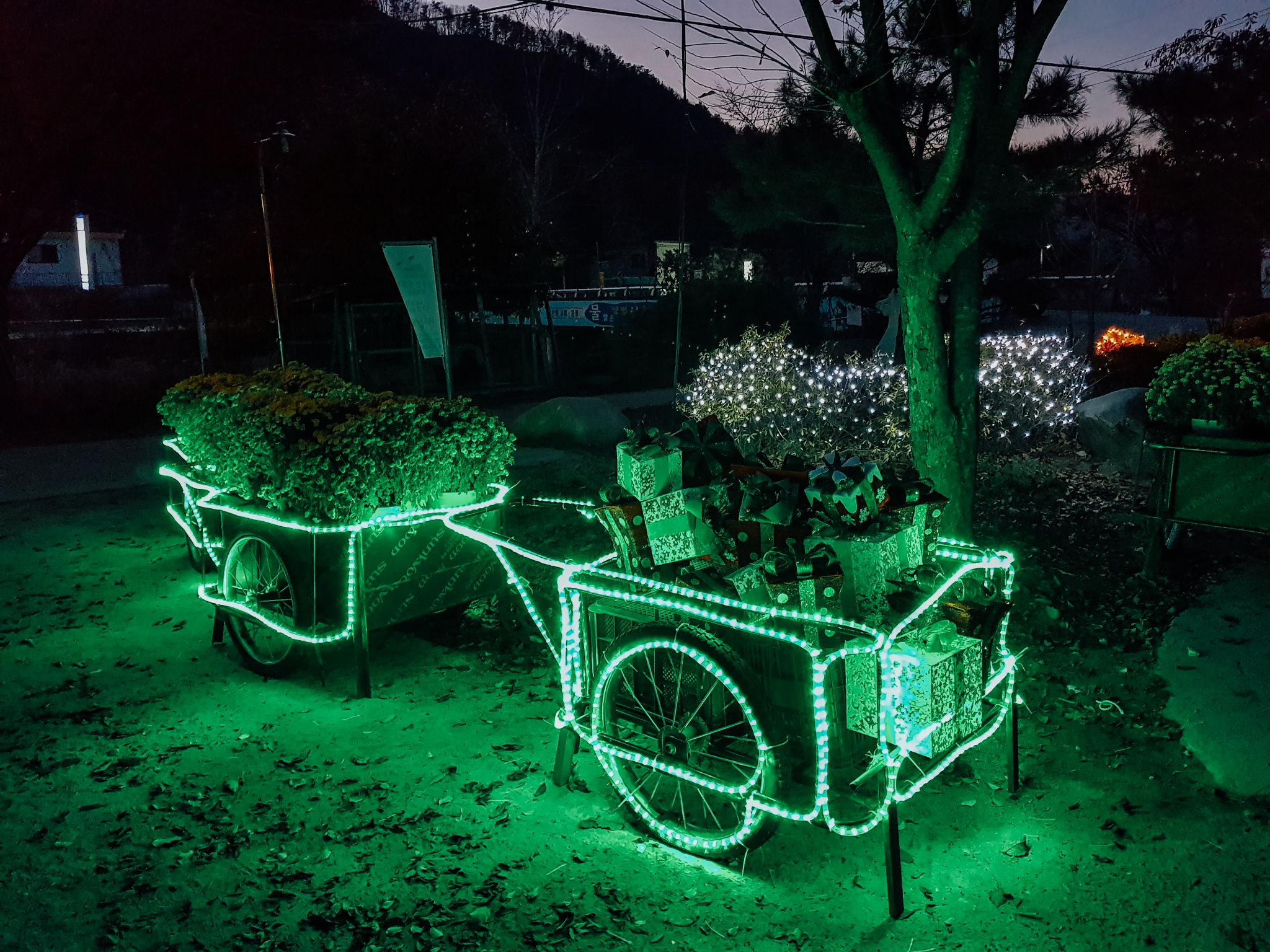 은은한 빛축제 06